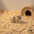  Hamster articulat 3D culoare caramel