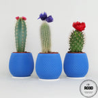 Ghiveci Poligon Pattern - Ghiveci 3D Geometric Modern, vedere de ansamblu cu pattern poligonal elegant și suprafețe netede