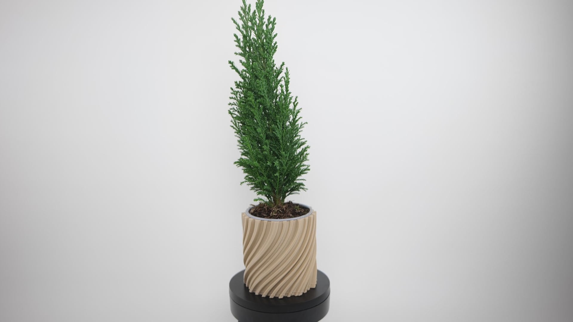 : Ghiveci Wavy Twisted - Ghiveci 3D Geometric Modern Design Wavy Twisted, demonstrație rotație 360° cu valuri răsucite dinamice și design geometric modern 
