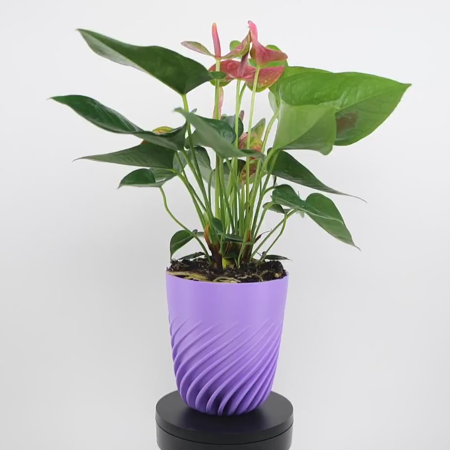Ghiveci Ventra - Ghiveci 3D Geometric Modern Design Ventra, demonstrație rotație 360° cu linii elegante sofisticate și design geometric modern înalt 