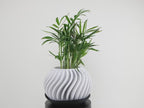 Surge Planter în Detaliu - Demonstrație Design Geometric Spiralat 360°. Ghiveci premium printat 3D în România de RO3D, design h3liØ.