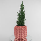 Ghiveci CrystalBloom - Ghiveci 3D Geometric Modern Design CrystalBloom, demonstrație rotație 360° cu pattern cristal înflorit și design geometric modern generos 
