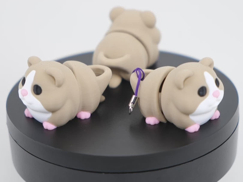 Hamster 3D vedere video 360.
