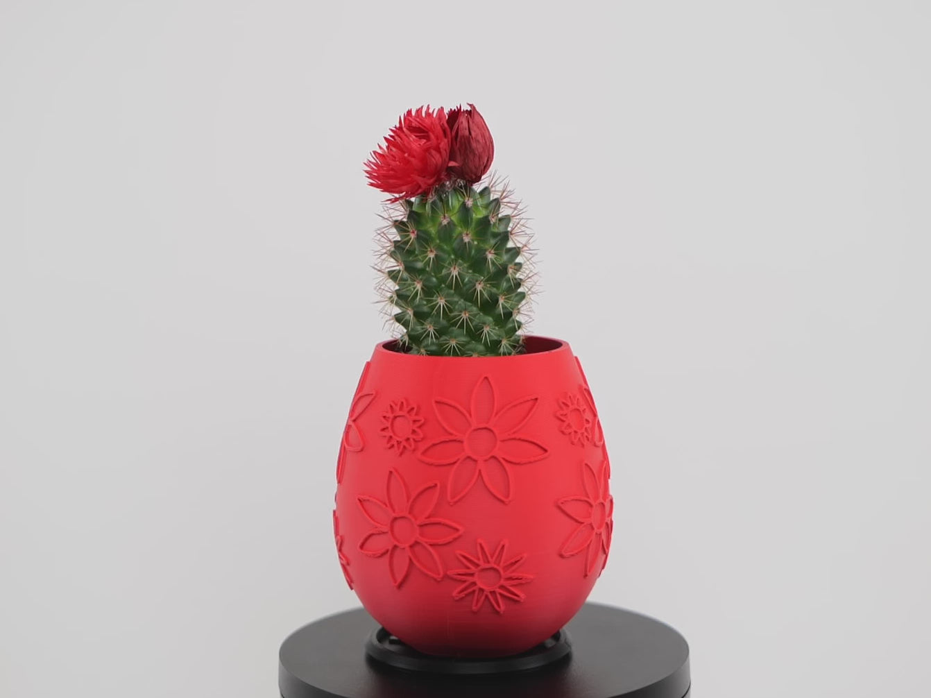 Video prezentare Easter - ghiveci decorativ 3D cu design floral stilizat rotație 360 grade h3li0
