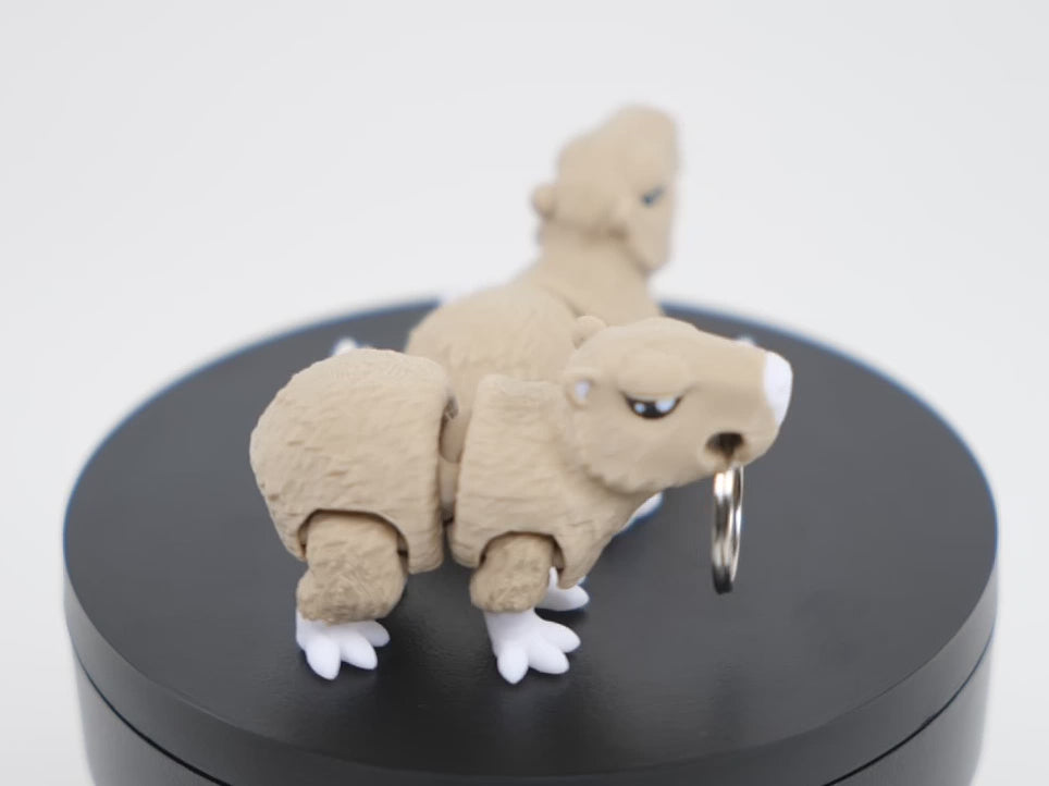 Mini Capybara - Capibară Articulată 3D, demonstrație video cu articulații flexibile și mișcare fluidă caracteristică