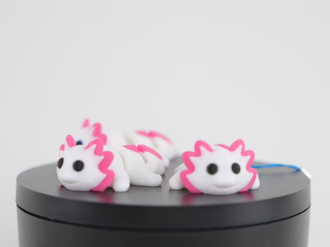 Articulated Axolotl salamandră mexicană articulată 3D - demonstrație mișcare articulații flexibile, axolotl print-in-place în acțiune
